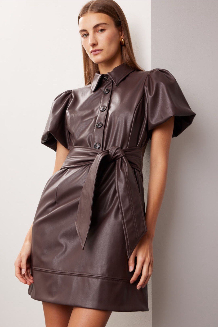Toccon Puff Sleeve Faux Leather Dress Msrp $525 Size- 2