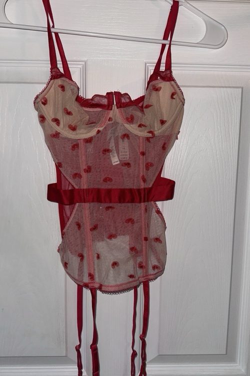 NWT Victoria Secret Corset Bra Lace Msrp $89.50 Size 32B