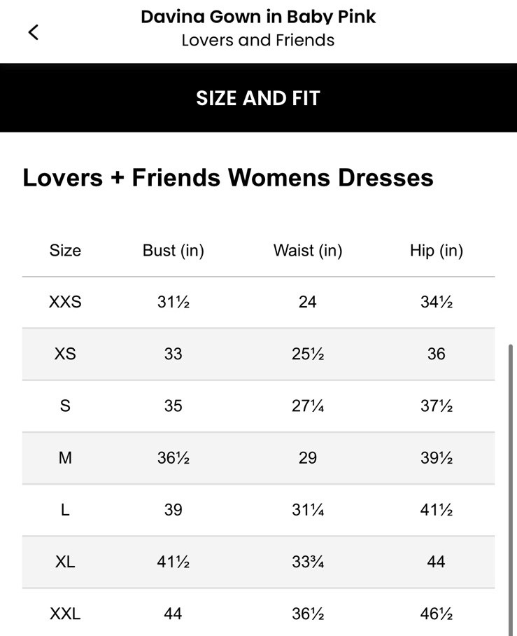 NWOT Lovers And Friends Davina Gown $388 Size M