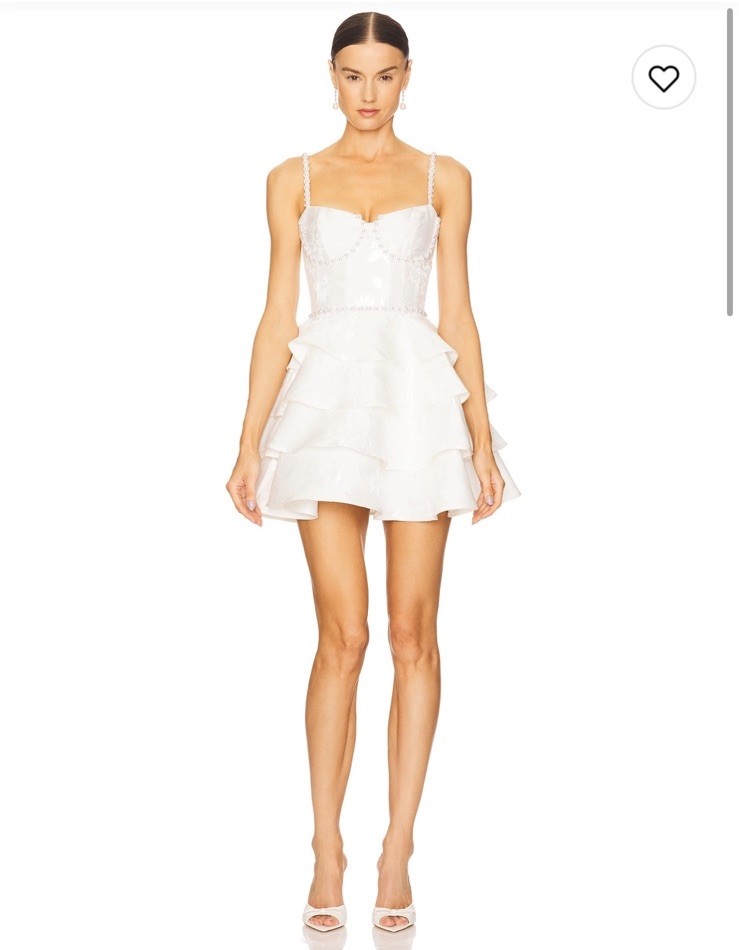 NWT V. Chapman Luciana Corset In Mini Dress $545 Size 4