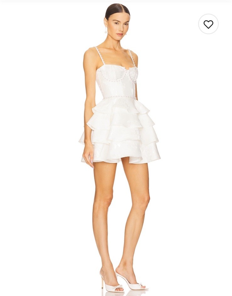 NWT V. Chapman Luciana Corset In Mini Dress $545 Size 4