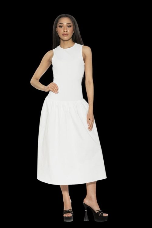 NWOT ALEXIA ADMOR DROP WAIST MIDI DRESS MSRP $265